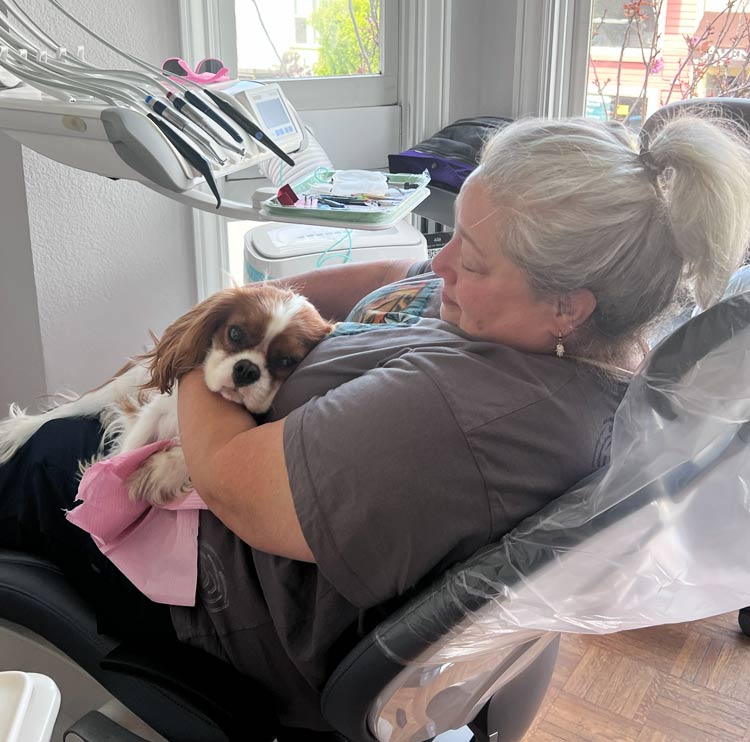 Finn the Dental Support Dog in the lap of a patient
